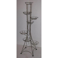 Березка 7